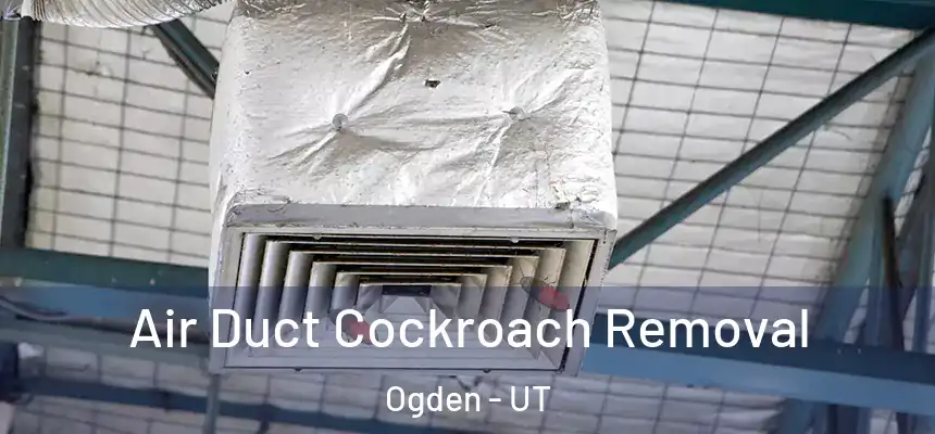 Air Duct Cockroach Removal Ogden - UT