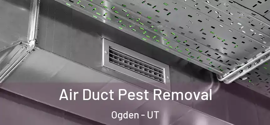 Air Duct Pest Removal Ogden - UT