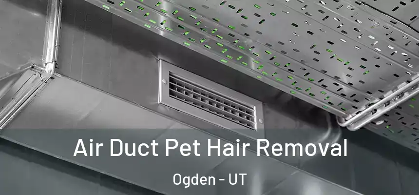 Air Duct Pet Hair Removal Ogden - UT