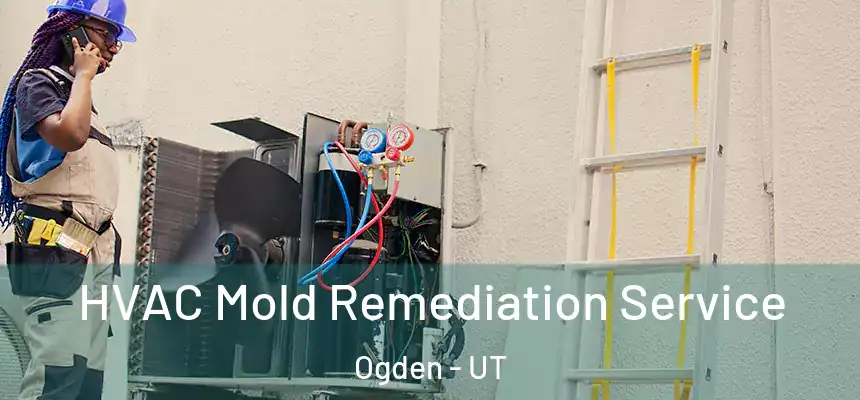 HVAC Mold Remediation Service Ogden - UT