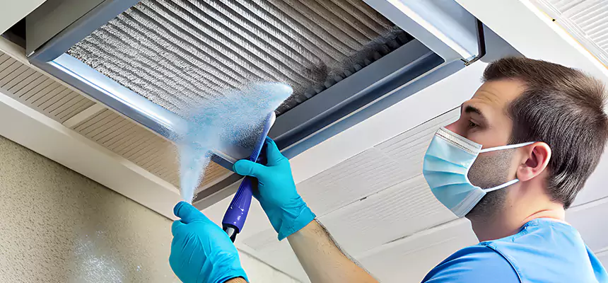 Proactive Dryer Vent & Auxiliary Duct Pollen Cleanup in Ogden, UT