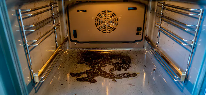 Our Dryer Vent Mold Cleaning Services in Ogden, UT