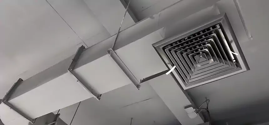 Our Pest Removal From Ducts Services in Ogden, UT