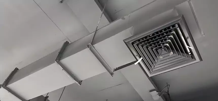 Our Rodent Droppings In Vents Services in Ogden, UT