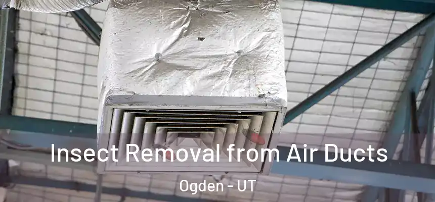 Insect Removal from Air Ducts Ogden - UT