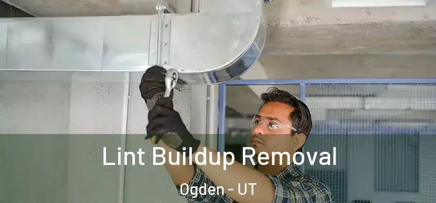 Lint Buildup Removal Ogden - UT