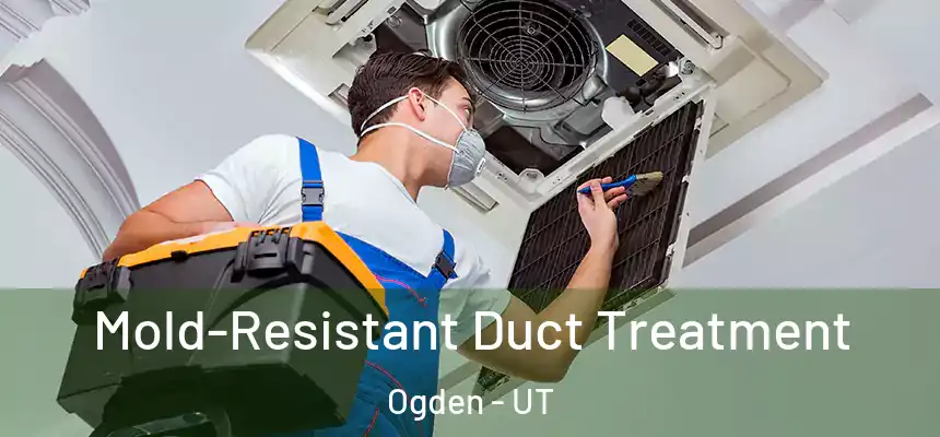 Mold-Resistant Duct Treatment Ogden - UT