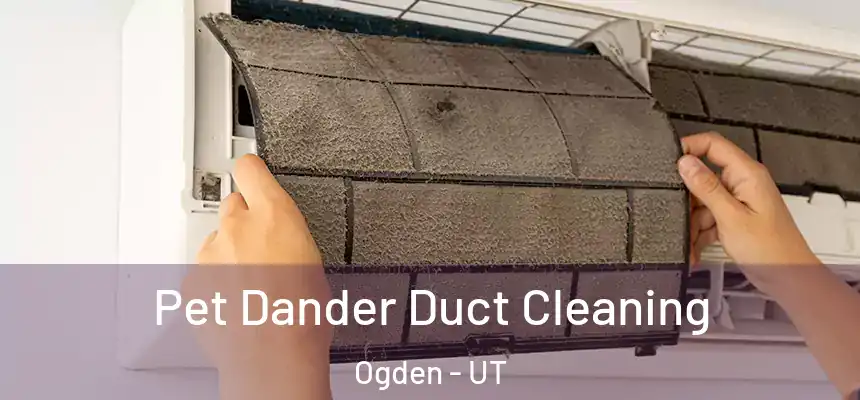 Pet Dander Duct Cleaning Ogden - UT