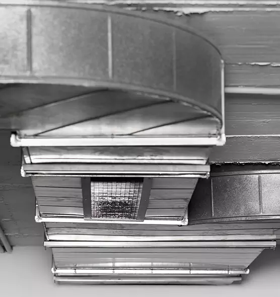 Professional Air Duct Pest Removal in Ogden, UT