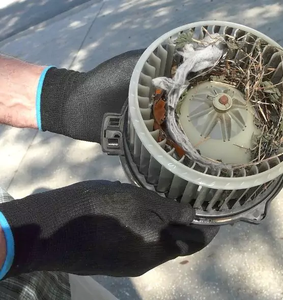 About Air Duct Rat Removal in Ogden, UT