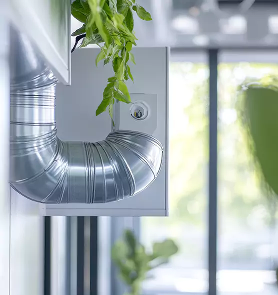 Professional Eco-Friendly Duct Cleaning Services in Ogden, UT