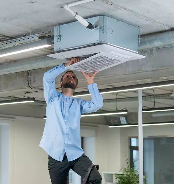 Advanced Rodent Droppings In Vents in Ogden, UT
