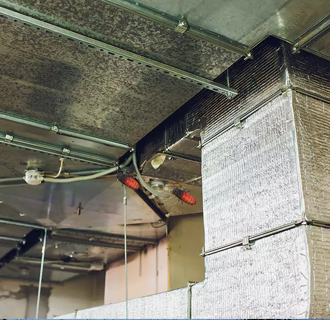 Why Homeowners & Businesses Trust Us in Ogden, UT?