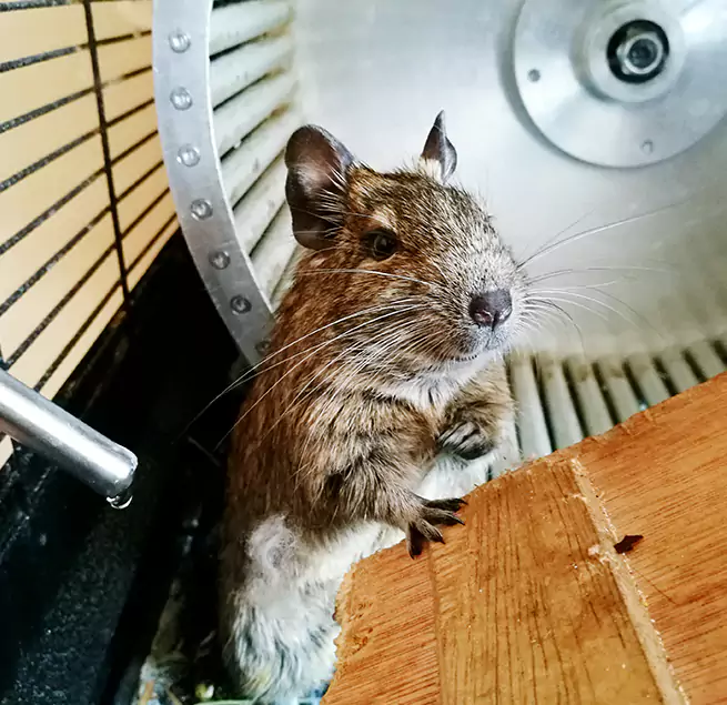 Why Homeowners & Businesses Trust Us Ogden, UT