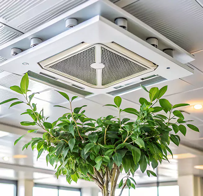 Why Homeowners & Businesses Trust Us in Ogden, UT?