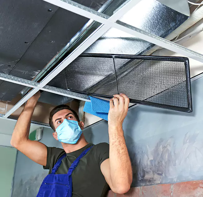 Why Homeowners & Businesses Trust Us in Ogden, UT?